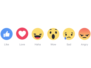 FB-Reactions