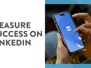 snd-blog-linkedin-metrics